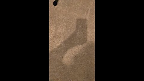 g4