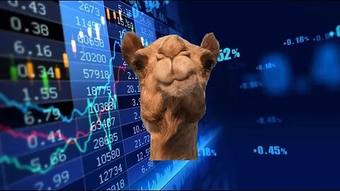 Weekend TA, Live Trades & How To