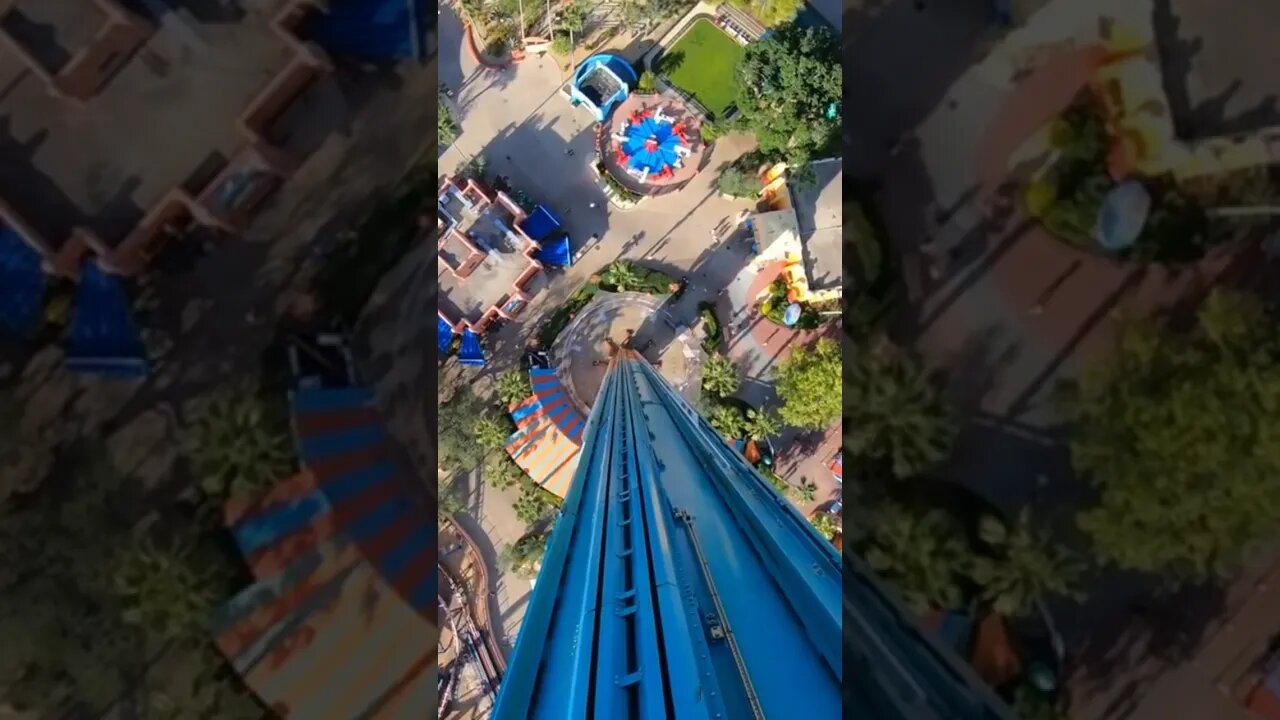 Falcon’s Fury at Bush Gardens makes riders look down. #fun , #summer