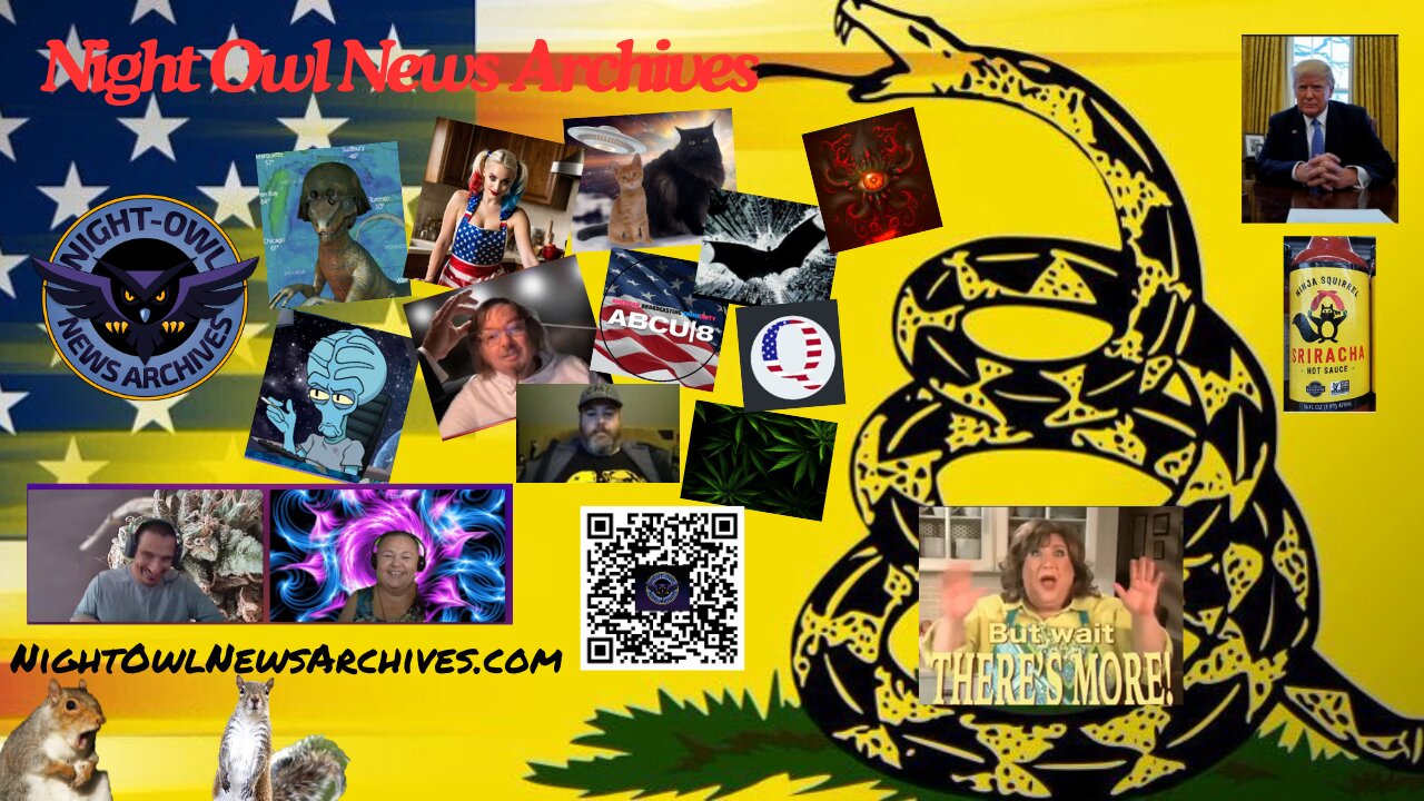 Night Owl News Archives 'Fun Friday Free For All' - 07/12/2024