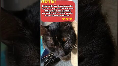 21 febbraio 2023