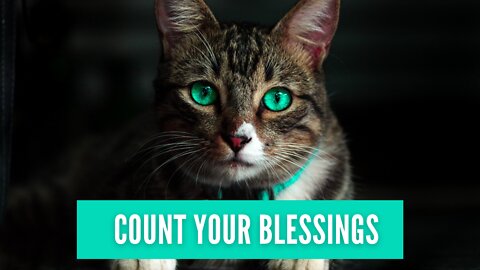 Count Your Blessings