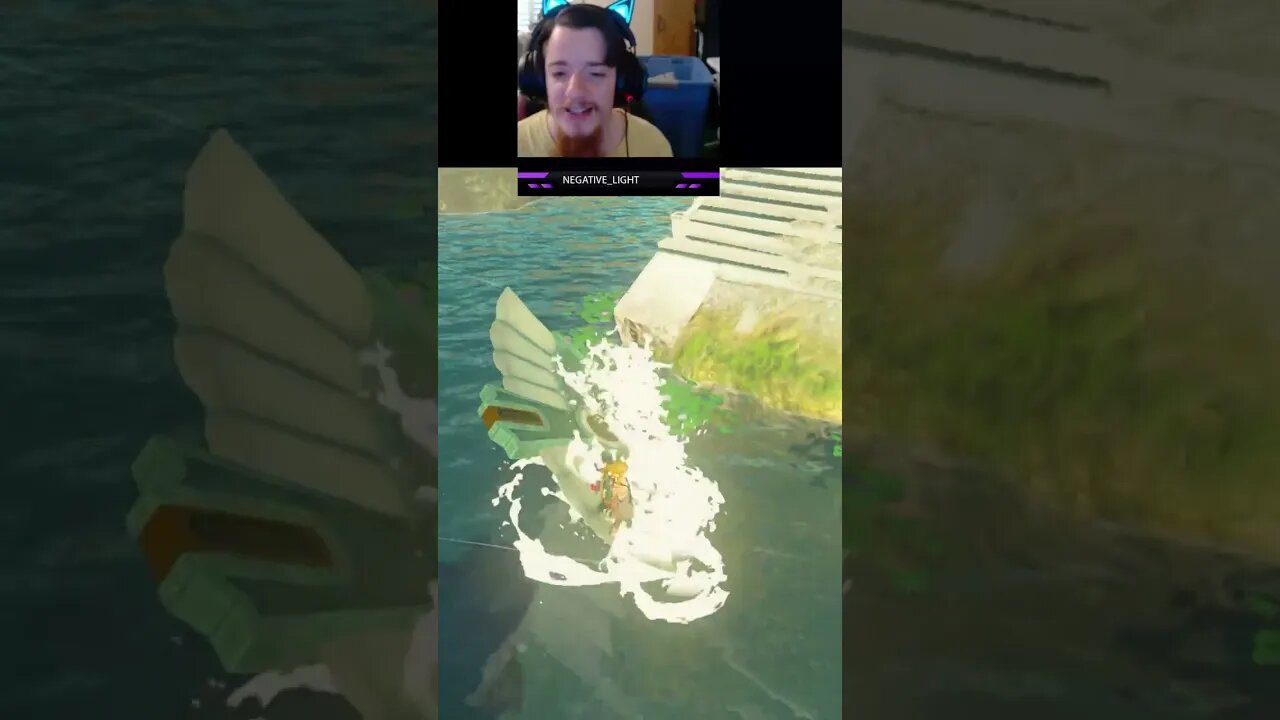 ... I think I have a Career in Singing. Tears of the Kingdom Zelda