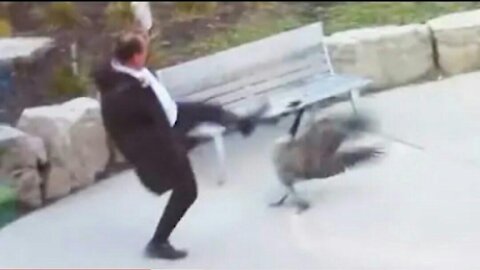 Man Attacked By Goose (almost dies)
