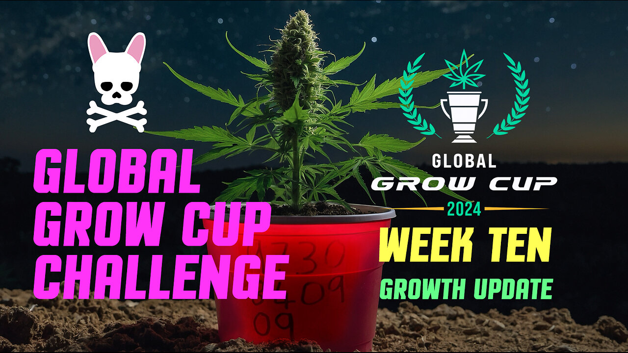 Global Grow Cup Challenge 2024 - Week Ten - Spider Farmer SF2000