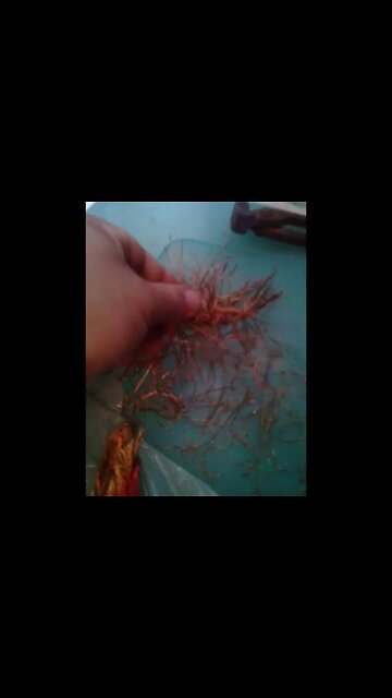 tirando cobre do motor pt4 #shorts