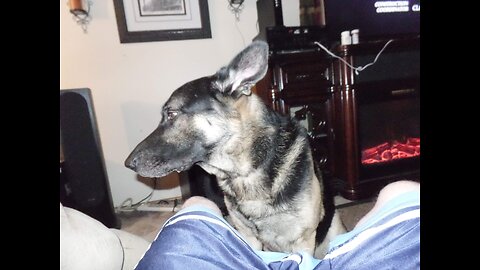 Buddy