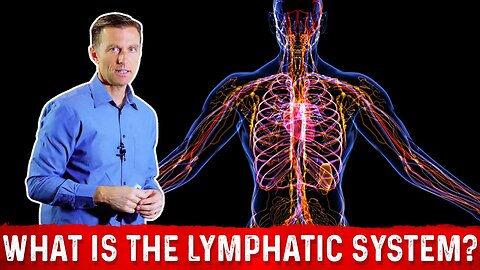 What is the Lymphatic System And How it Functions? – Dr. Berg