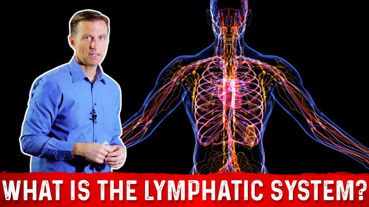 What is the Lymphatic System And How it Functions? – Dr. Berg
