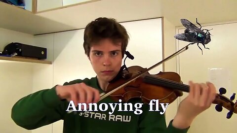 Sounds of nature on the violin #shorts