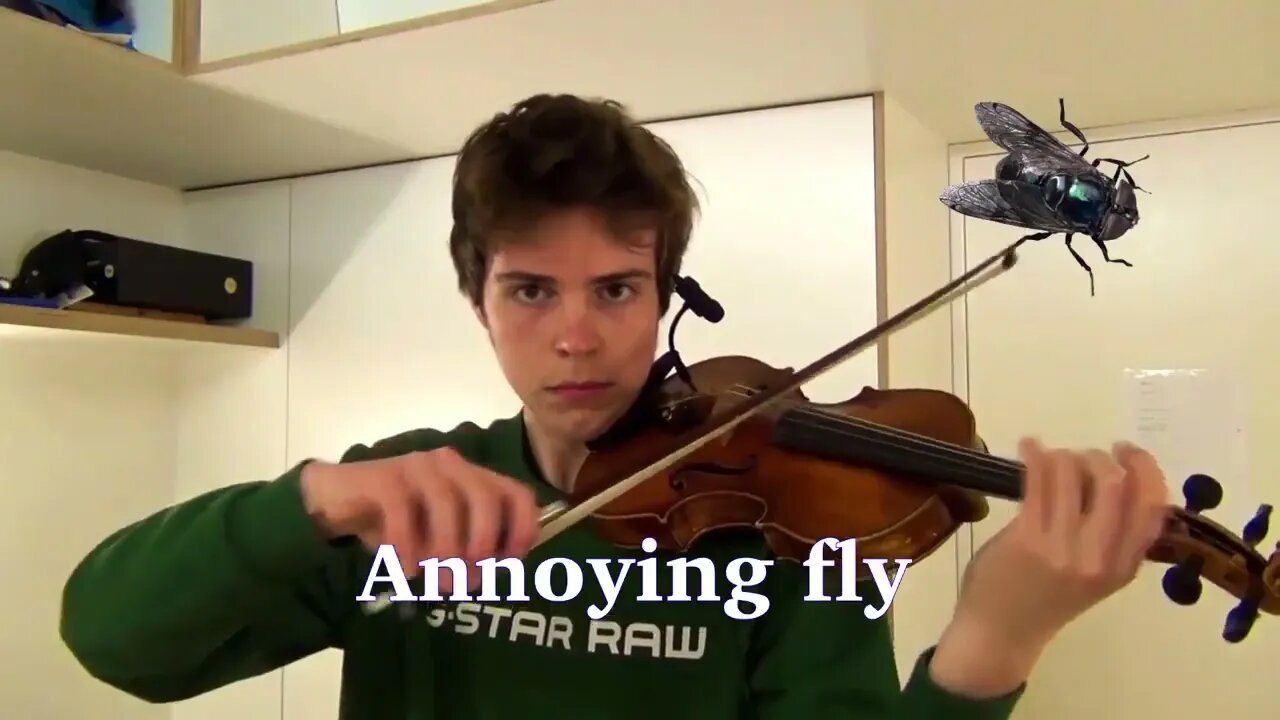 Sounds of nature on the violin #shorts