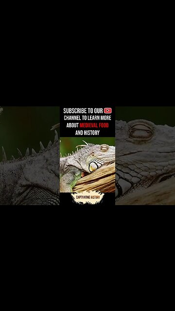 Which Civilization Ate Iguana Eggs? #shorts