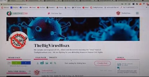 Please Donate & Support TheBigVirusHoax.com