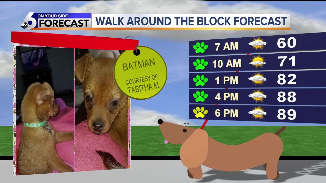 Walk Around the Block forecast: Batman