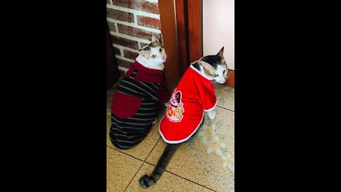 They are arrived home