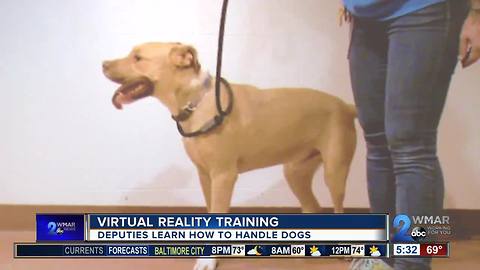 Deputies learn how to handle dogs with virtual reality training