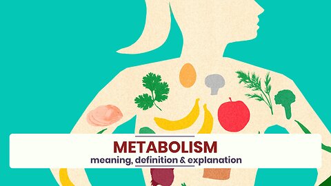 What is METABOLISM?