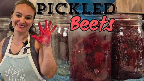 PICKLED BEETS ALERT Water Bath Canning is a GAME CHANGER!