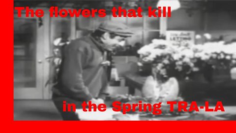 The Little Shop of Horrors - 1960 | English & Spanish Subtitles