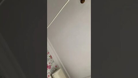 Tiktok Videos | Tavernoftinst | #fyp #short #tiktok #tiktokdance