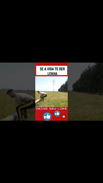 Se a vida te der lenha... #frasesengracadas #motivacional #viral #boasenergias