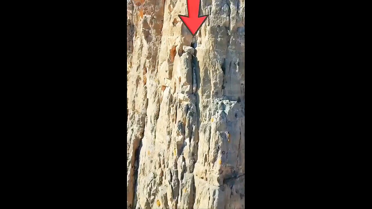 look where the wild goat is stuck
