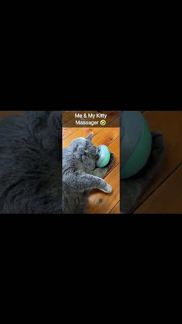 Me & My Kitty Massager 🤣