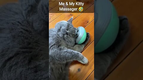 Me & My Kitty Massager 🤣