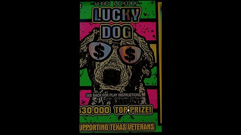 Lucky Dog