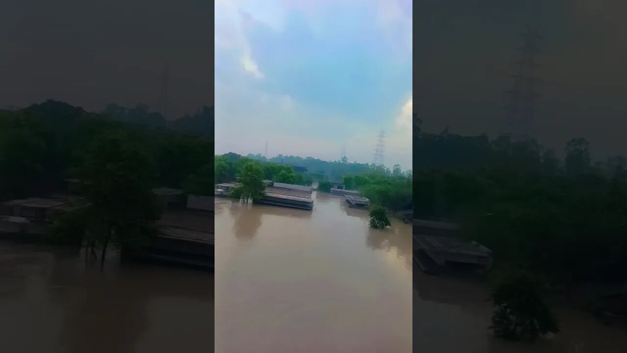 दिल्ली में बाड़ से जमना पार के लोगों का बुरा हाल #flood #shorts #yamunariver