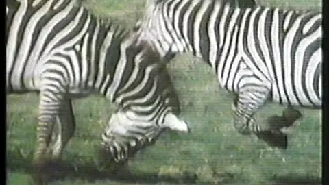 KCOP commercial break (September 28, 1992) Part 4