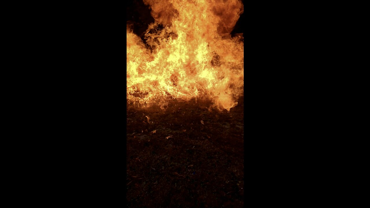 Dragon’s breath (Hellfire shells) vs 8 oz butane can!!