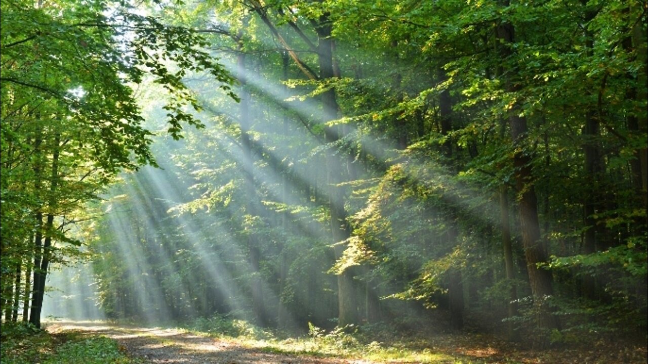 The Book of Psalms - Chapters 16 - 18
