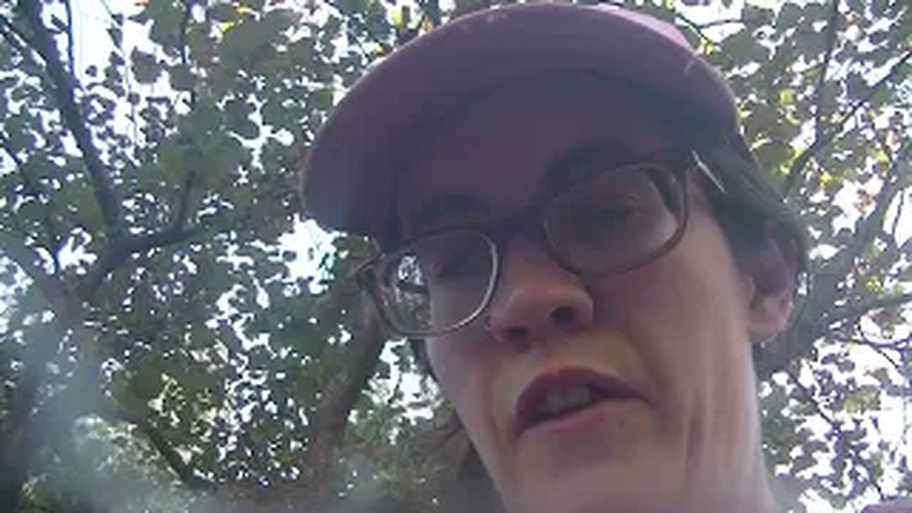 we shamefully internalize the memory of listening to way shittier music thinking it was amazing
