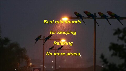 Best rain sounds for good sleep and relaxing