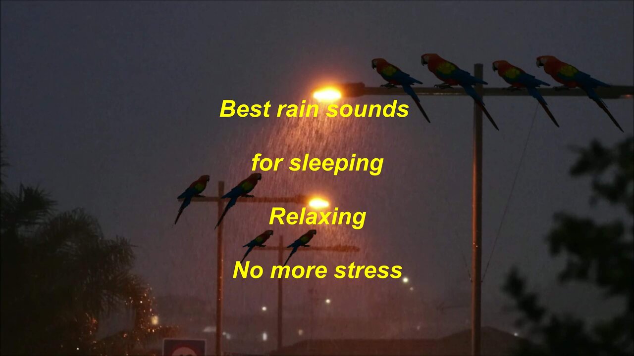 Best rain sounds for good sleep and relaxing