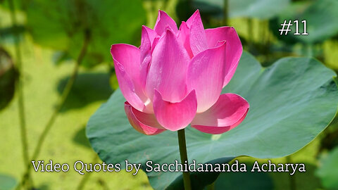 Video quotes by Sacchidananda Acharya / Advaita Vedanta #11