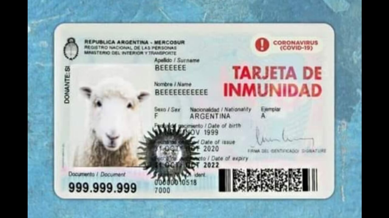 Crónicas de Bozalistán 3. (No lo verás en Youtube) Los obnubilados.