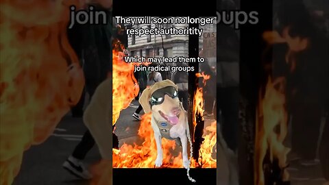 Dog Warning