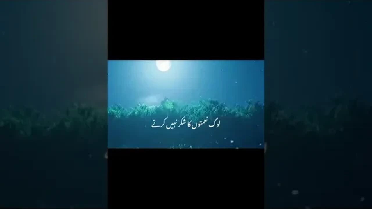 انسان بہت نا شکرا ہے