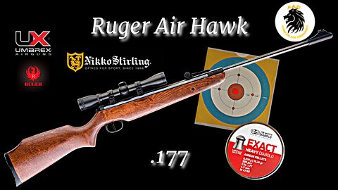 Ruger Air Hawk .177 20 Yard Shooting Test With JSB 10.34gn Pellets