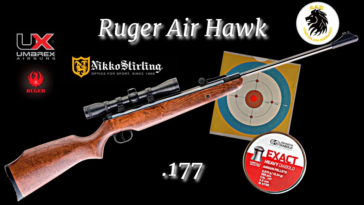 Ruger Air Hawk .177 20 Yard Shooting Test With JSB 10.34gn Pellets
