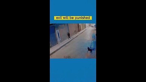 Good ending #dogsoftiktok #funny #cute #pet #foryou