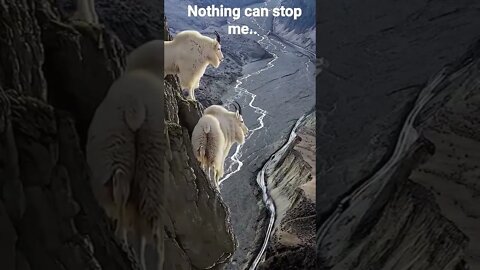 Nothing can stop me, I am all way up. #Mountain #got