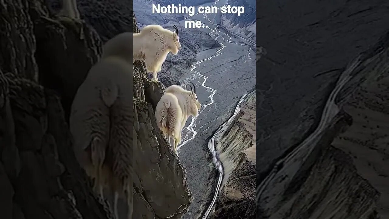Nothing can stop me, I am all way up. #Mountain #got