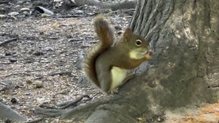 James Gardens Toronto wildlife