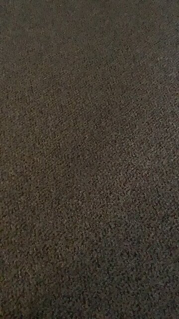 Pumpkin month 2 is almost over