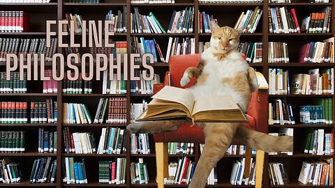Cat philosophies about time