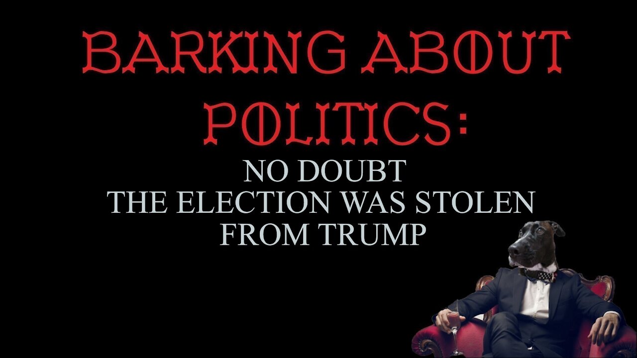 Barking About Politics: No Doubt The Election Was Stolen From Trump