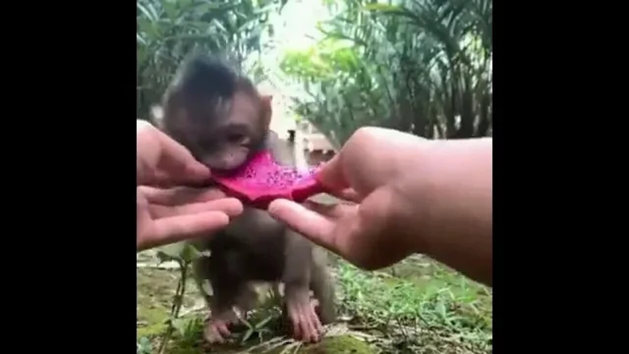 ۲۲ اکتبر ۲۰۲۲